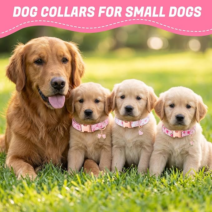 3 Pack Pink Dog Collars for Small Dogs Girl Dog Collar - Image 5