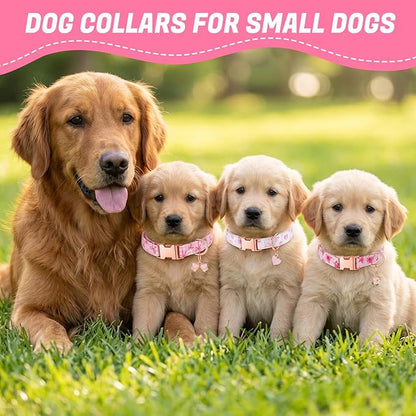 3 Pack Pink Dog Collars for Small Dogs Girl Dog Collar - Image 5