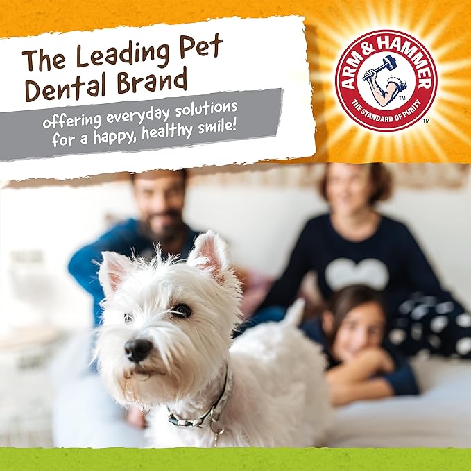 Arm & Hammer for Pets Nubbies Duality Bone Dental Dog Toy| Best Chew Toy for - Image 7