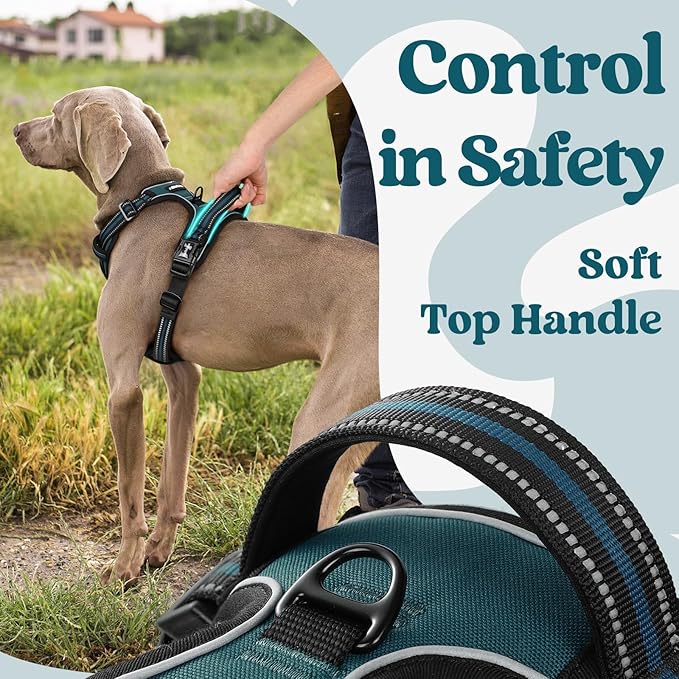 rabbitgoo Dog Harness Medium Sized, No Pull Easy On & Off - Image 5