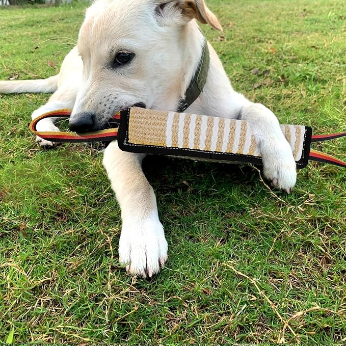 ASOCEA Dog Tug Toy, Bite Jute Pillow Pull Toy Tough Squeaky Dog Toys - Image 6
