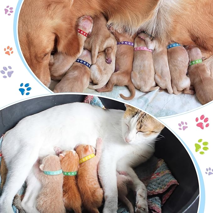 Frienda 60 Pieces Puppy Whelping Collars Newborn Pet Collars Double-Sided - Image 7