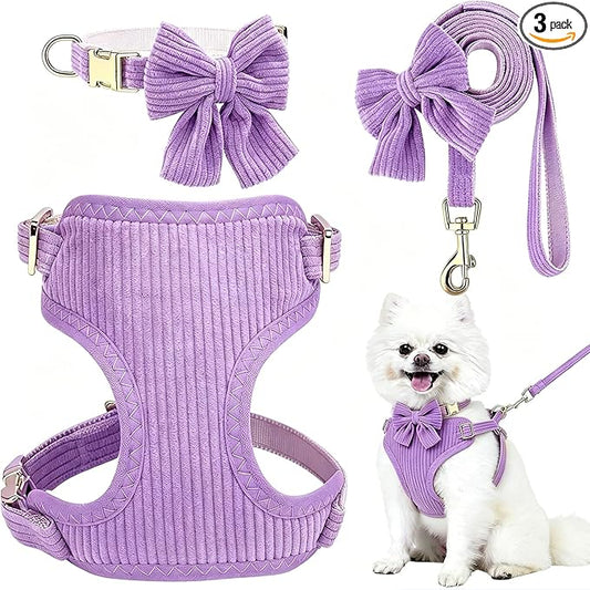 Small Dog Collar Harness and Leash Set by Unknown