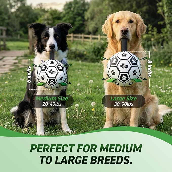 QDAN 2 PCS Dog Toys Soccer Ball Set - Image 6