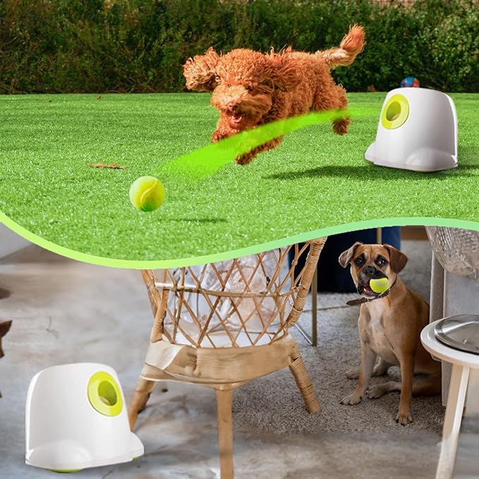 ALL FOR PAWS Automatic Dog Ball Launcher, Interactive Fetch Toy for Small to - Image 2