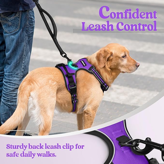 rabbitgoo Dog Harness, No-Pull Pet Harness - Image 6