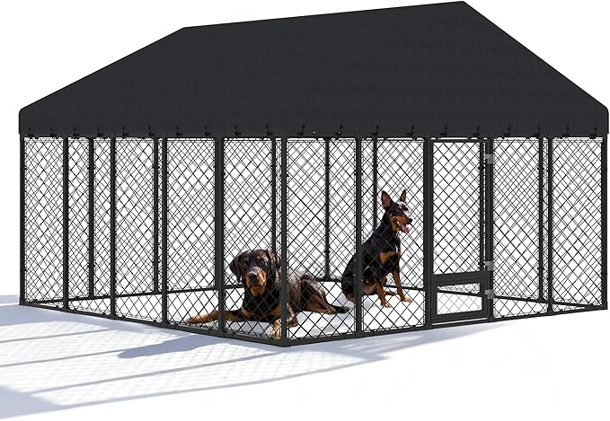 10x10FT Dog Kennel Outdoor by MASIONBACKYARDS