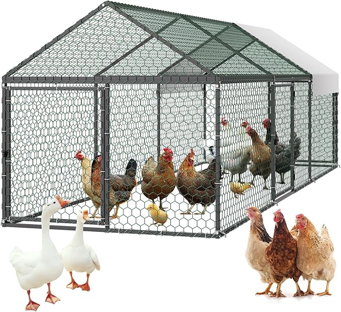 VEVOR Metal Chicken Coop for 6-8 Chickens, 3.3 x 9.8 x 3.3 ft, Small Chicken by VEVOR