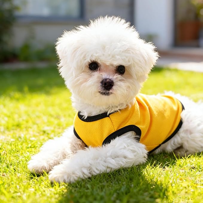 Custom Dog Jersy, Personalized Dog Shirt - Image 2
