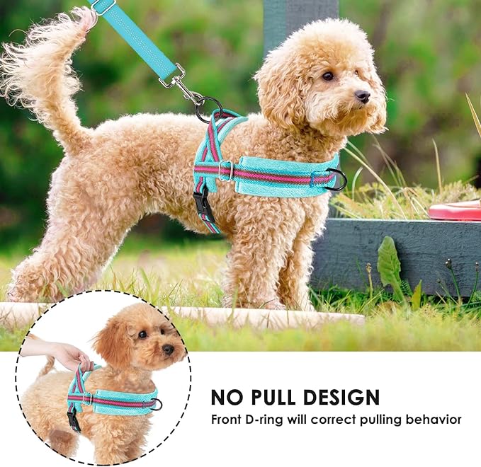 Lukovee No Pull Dog Harness and Leash Set, Soft Padded Small Dog Harness - Image 8