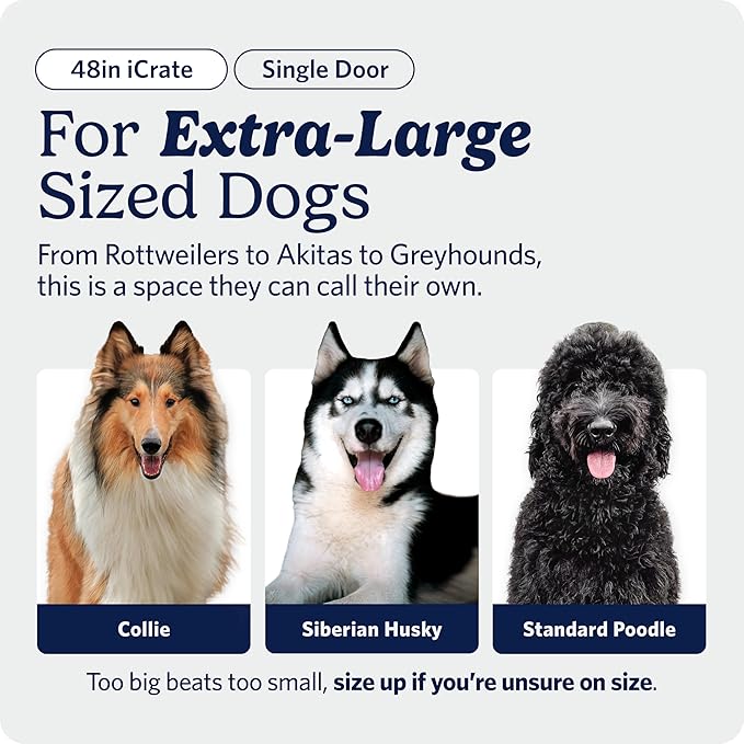 MidWest Homes for Pets 48-Inch iCrate for Extra-Large Breeds, 90-110 lbs - Image 2