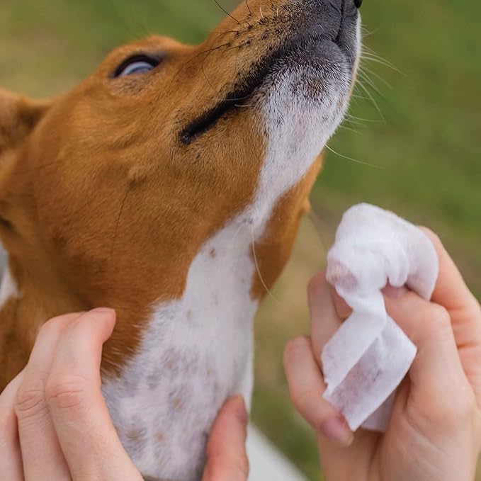 110 Pack Pet Grooming Wipes - Image 9