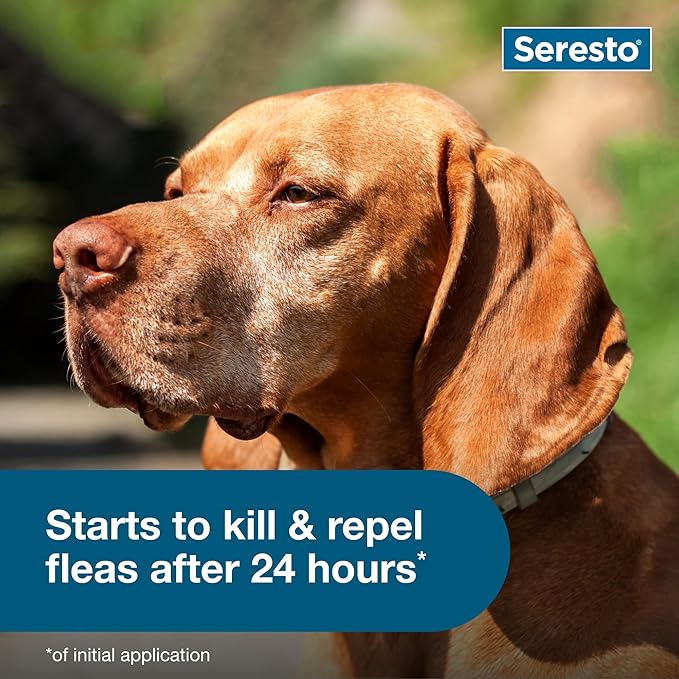 Seresto Large Dog Vet-Recommended Flea & Tick Treatment & Prevention Collar - Image 5