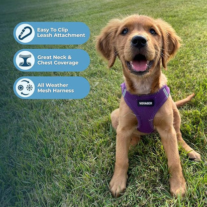 Best Pet Supplies Voyager Step-in Air Harness - Image 3