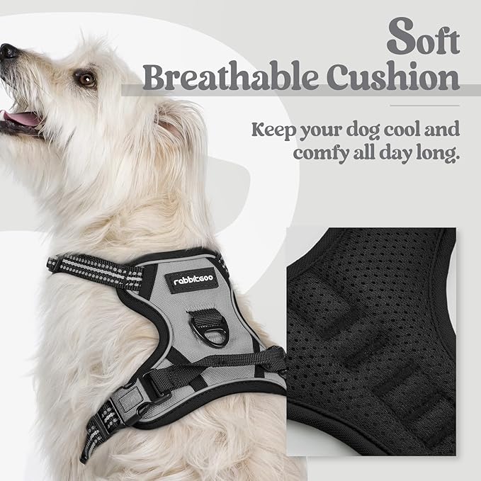rabbitgoo Dog Harness No Pull - Image 2