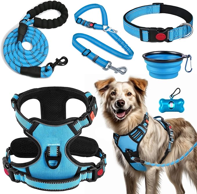 LOBEVE No Pull Dog Harness, Collar & Leash Set | Includes Dog Seat Belt by Lovebegetslove