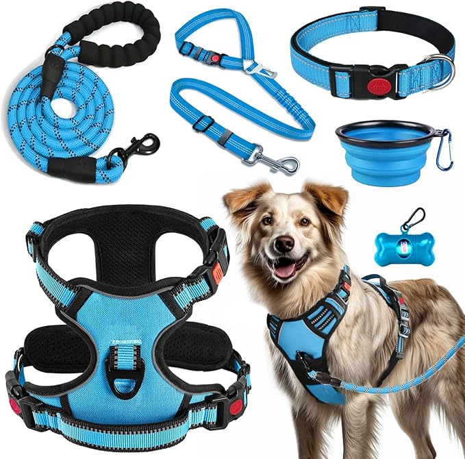 LOBEVE No Pull Dog Harness, Collar & Leash Set | Includes Dog Seat Belt by Lovebegetslove
