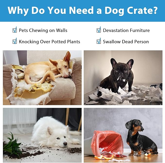 48 Inch Extra Large Dog Crates for Medium Dogs, Double-Door Folding XXL Dog - Image 2