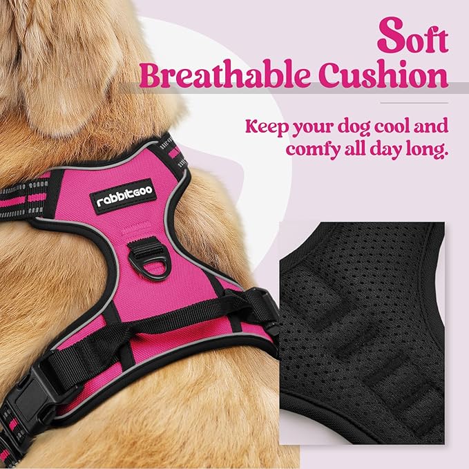 rabbitgoo Dog Harness No Pull - Image 2