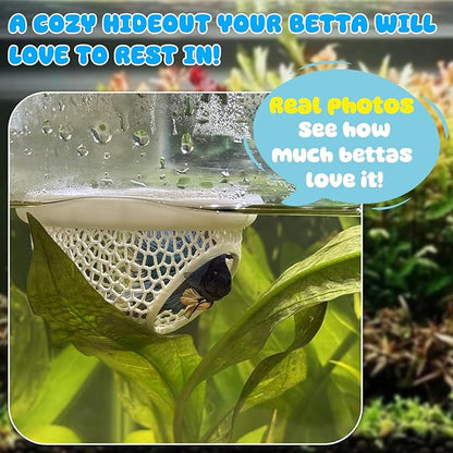 Floating Betta Hide & Shrimp Cave – All-in-One Aquarium Hammock, and Safe - Image 6