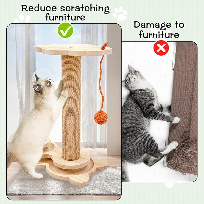 Fhiny Cat Scratching Posts, Interactive Cat Toys - Image 5