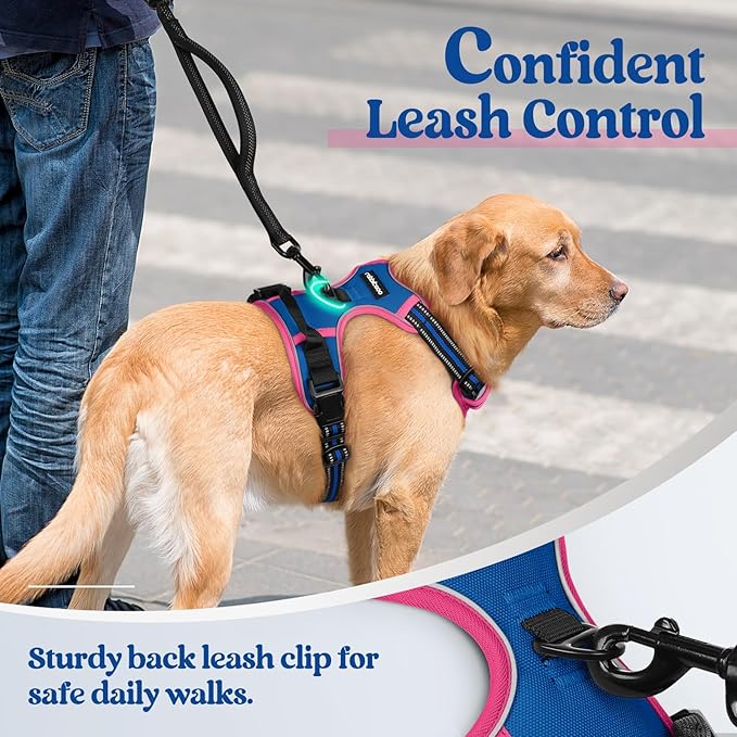 rabbitgoo Dog Harness No Pull - Image 6