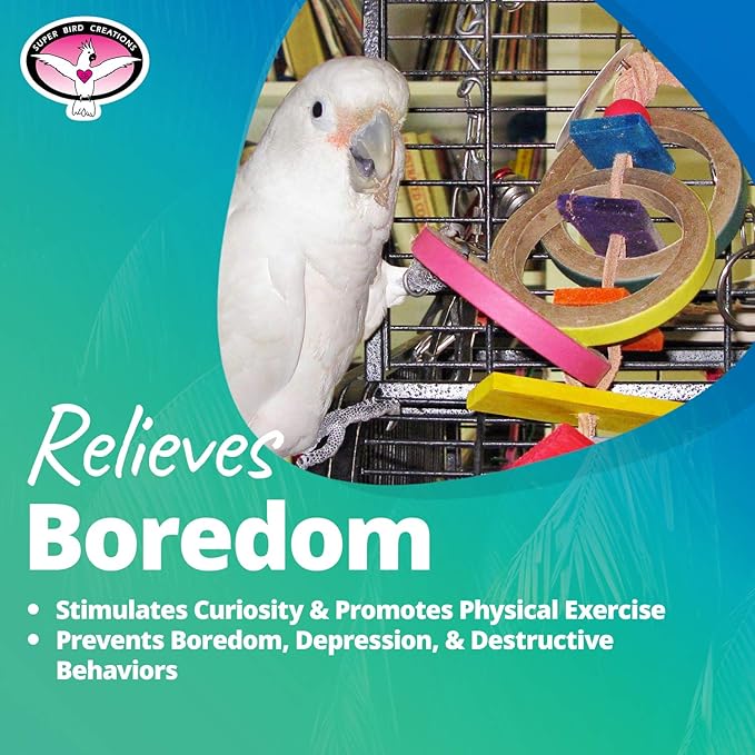 Super Bird Creations SB625 Olympic Rings Bird Toy, Large Bird Size, 15” x 4” x - Image 6