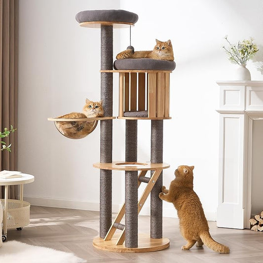 Modern Cat Tree Tower with Scratching Post, 61.5in Tall Cat Tree by Kicari