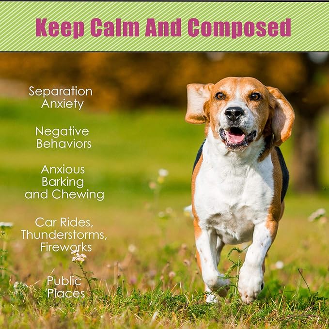 Moropaky Hearbeat Toy for Dog Anxiety Relief Behavioral Training Aid Toy - Image 4