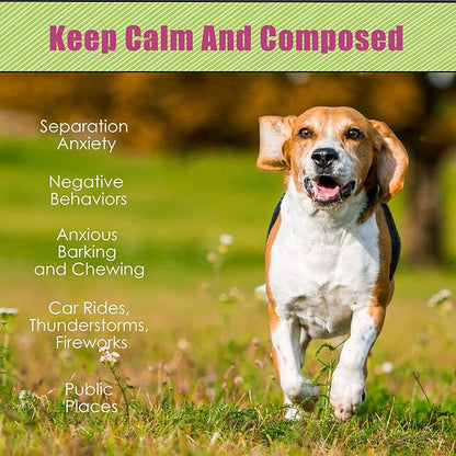 Moropaky Hearbeat Toy for Dog Anxiety Relief Behavioral Training Aid Toy - Image 4