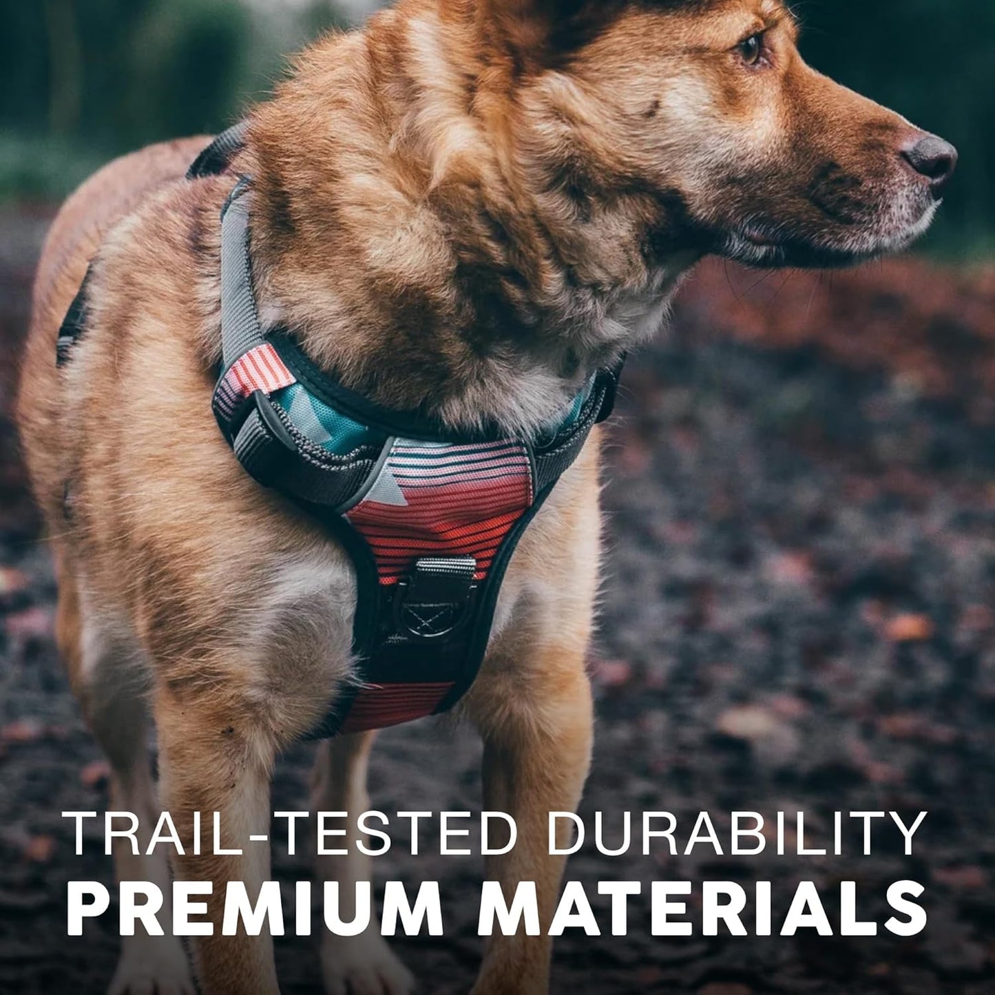Embark Adventure Dog Harness, Reflective Trim No Pull Dog Harness Medium Sized Dogs - Military Grade Nylon, Front Clip with Gel Lined Handle.