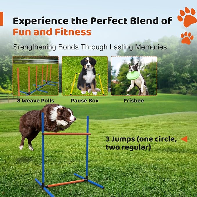 Sedeke 4 Sets Pets Agility Training Equipment - Image 2