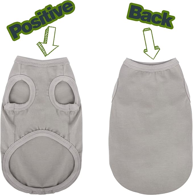 Elevate Your Dog's Fashion Quotient - Image 6