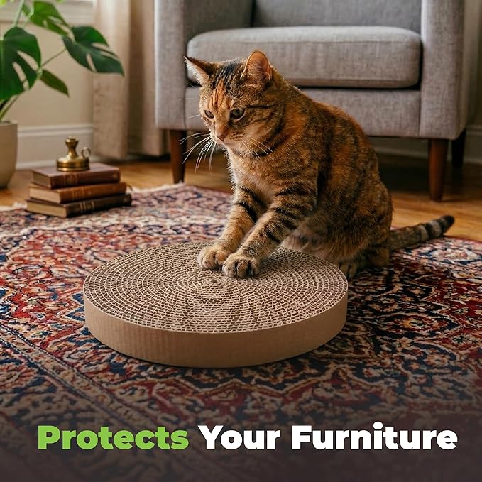 Best Pet Supplies Catify Cat Scratcher, Fun Interactive Scratchers, Claw Safe - Image 5