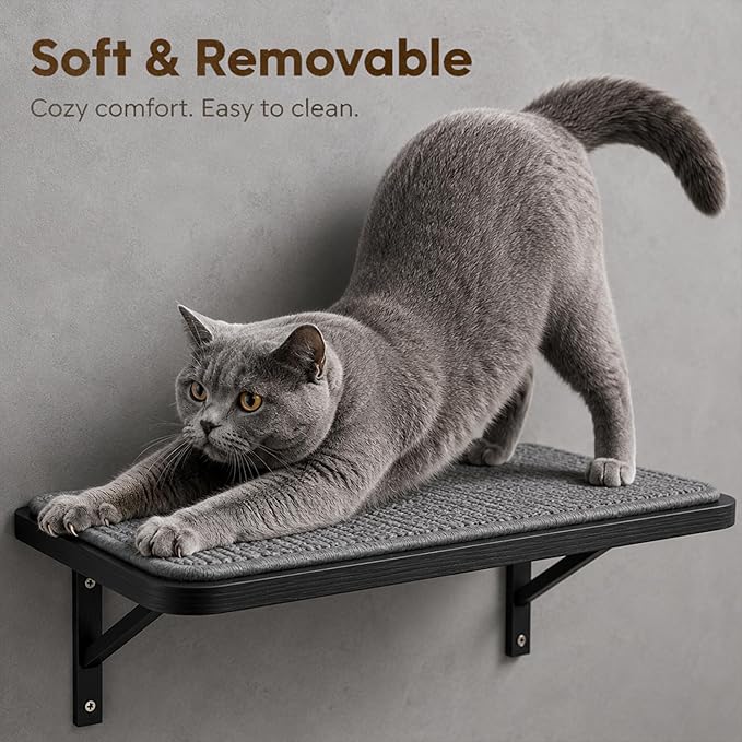 Cat Wall Shelves Set of 2, Wall-Mounted Space-Saving Climbing Bed, Lounging - Image 6