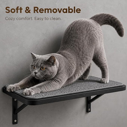 Cat Wall Shelves Set of 2, Wall-Mounted Space-Saving Climbing Bed, Lounging - Image 6