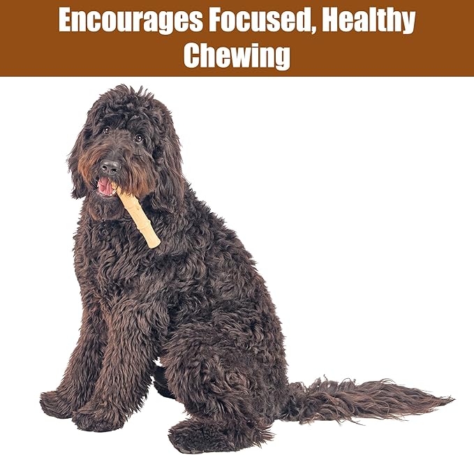 SPOT Bam-Bones Plus Bamboo Stick - Image 4