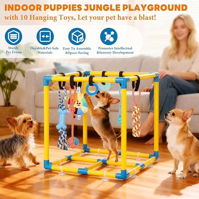 WLLEYAY Puppy Play Gym for Small Dogs - Image 2