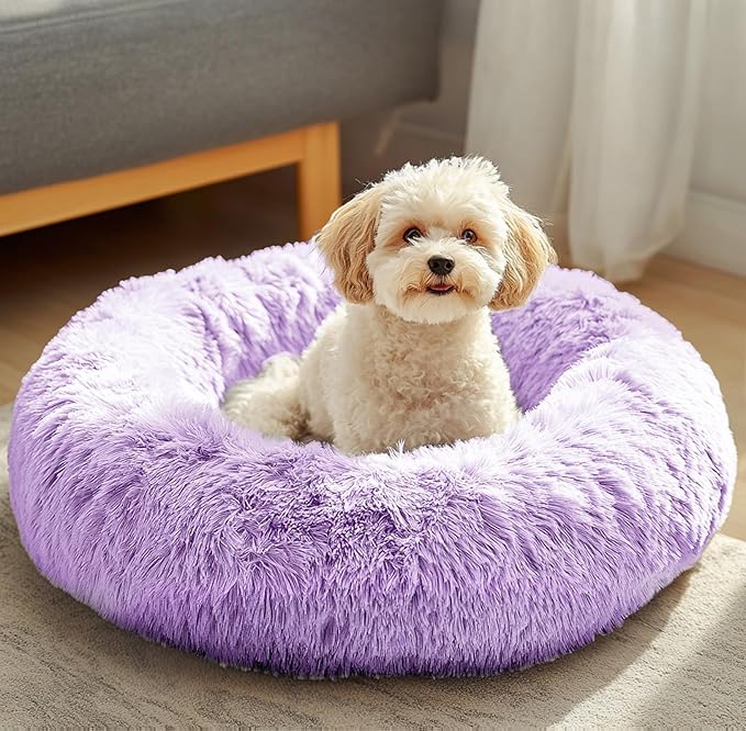 JOLLYVOGUE Dog & Cat Bed, Calming Anti-Anxiety Pet Bed by JOLLYVOGUE