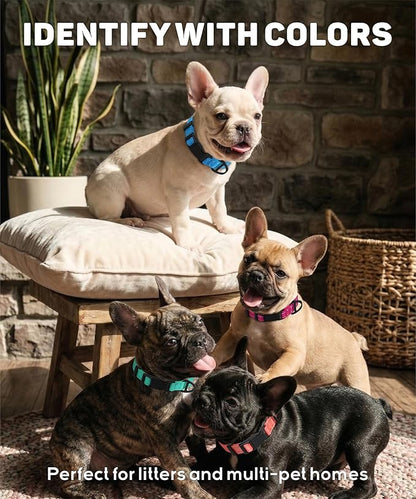 TagME Reflective Nylon Dog Collars, Adjustable Classic Collar - Image 6