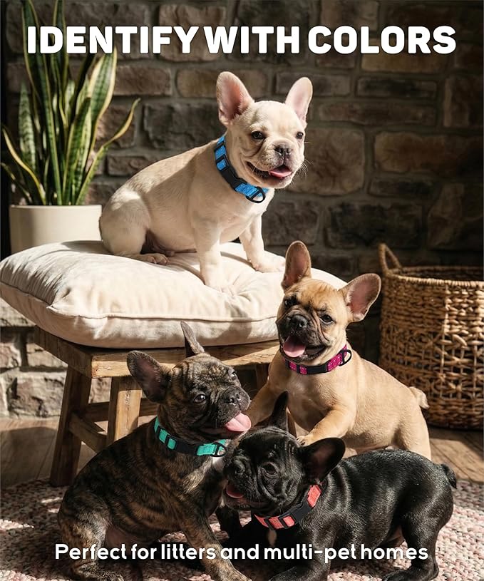 TagME Reflective Nylon Dog Collars, Adjustable Classic Pet Collar - Image 5