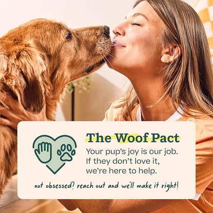 WOOF Pupsicle - Long-Lasting Interactive Dog Ball Toy to Keep Your Pup Busy and - Image 9