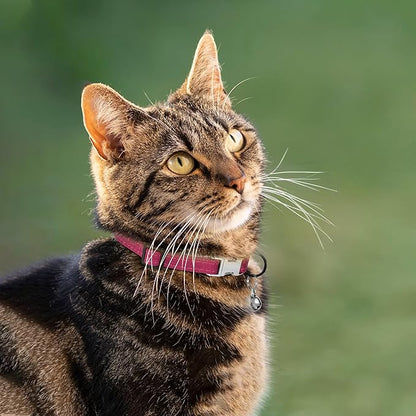 Leather Cat Collar with Buckle and Removable Bell - Image 6