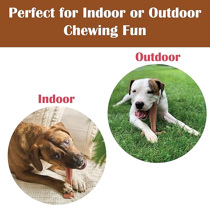 SPOT Bam-Bones Plus T Bone – Bamboo Fiber & Nylon Dog Chew Toy - Image 9