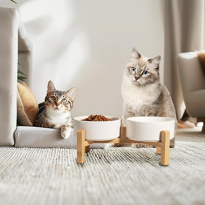 Elevated Ceramic Dog Bowl Set - Image 6