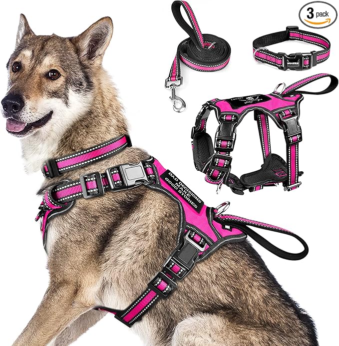 WINSEE Pet Harness Collar and Leash Set, All-in-one Reflective Dog Harness No by WINSEE