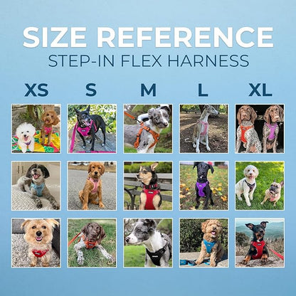 Best Pet Supplies Voyager Adjustable Step-in Flex Breathable Mesh Dog Harness - Image 6