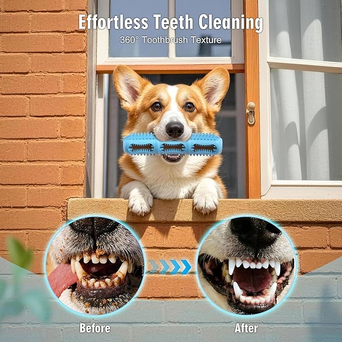 Dog Chew Toys, Dog Toothbrush Toy - Image 4