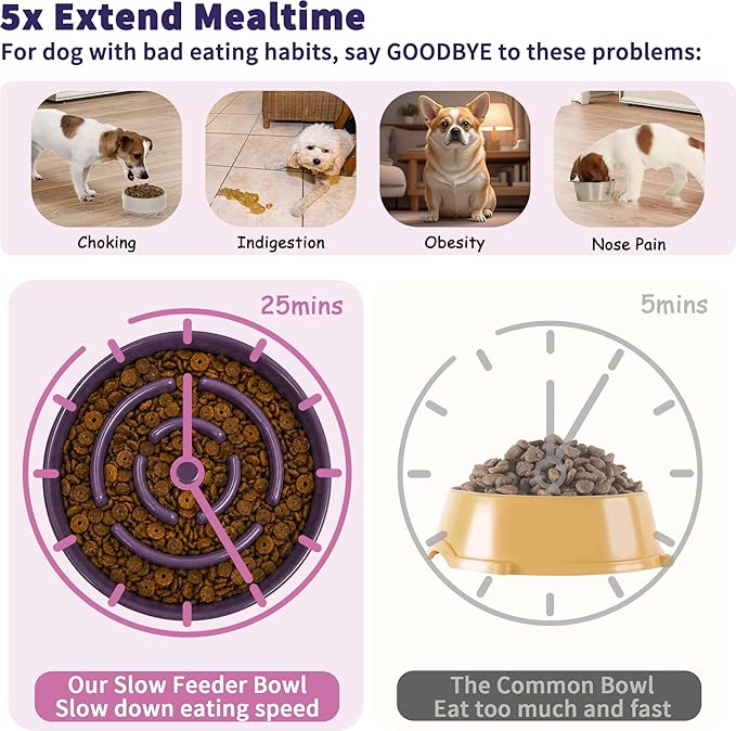 Elevated Slow Feeder Dog Bowl - Image 3