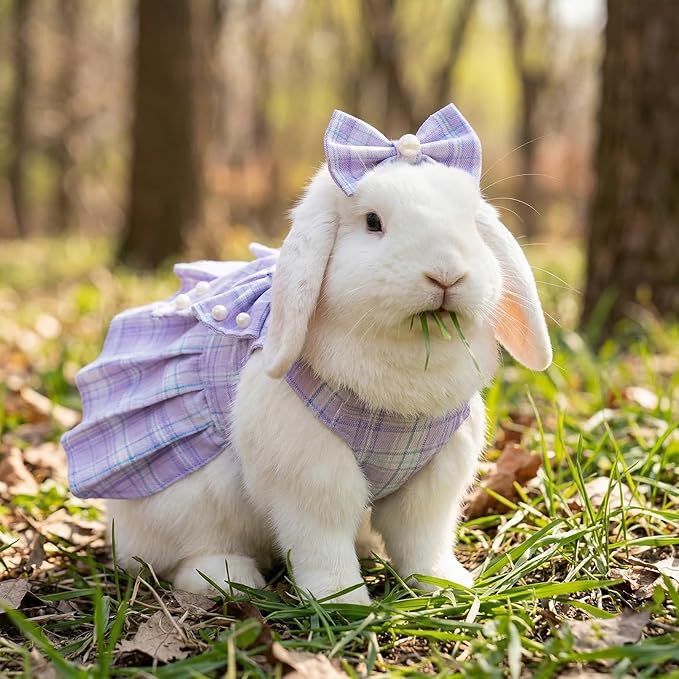 Cute Plaid Dog Dress Clothes for Small Dogs Cats Girl Purple Plaid Dog Dress - Image 5